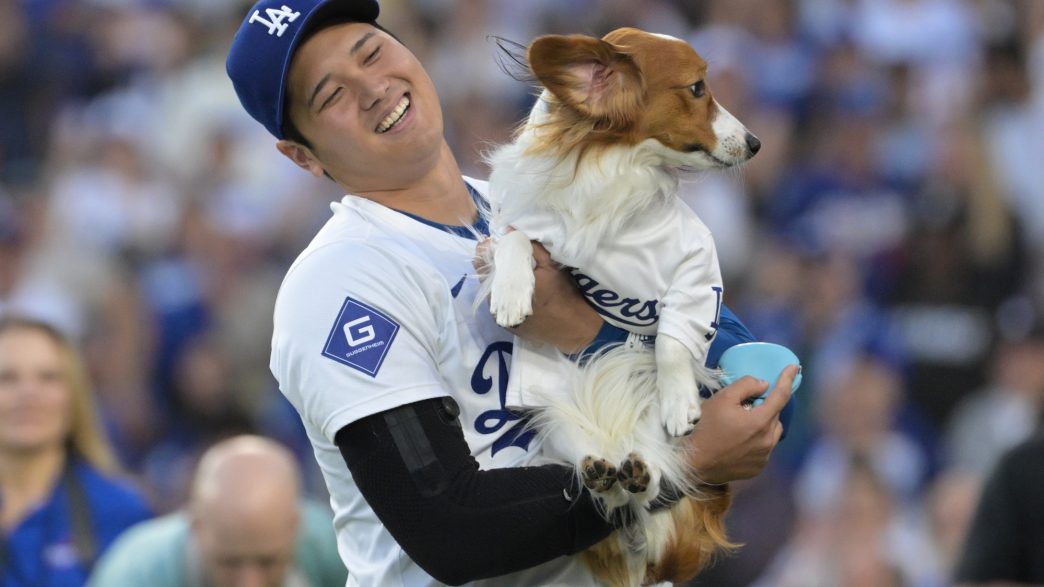 What Can’t He Do? Shohei Ohtani Has Published A Children’s Book