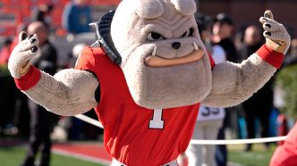 ESPN Names The Best Animal College Mascots – Bevo Left Out